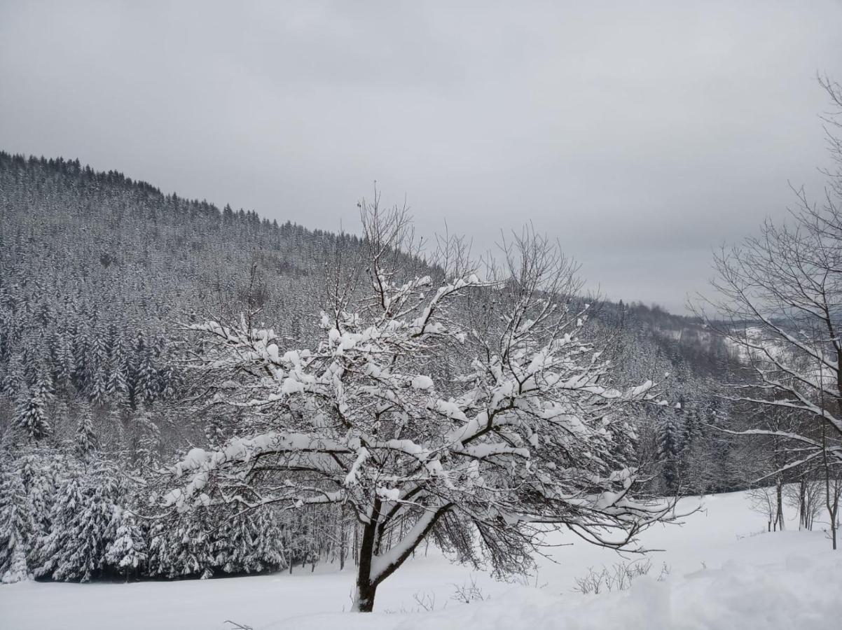Agroturystyka Oblica Zawoja Εξωτερικό φωτογραφία